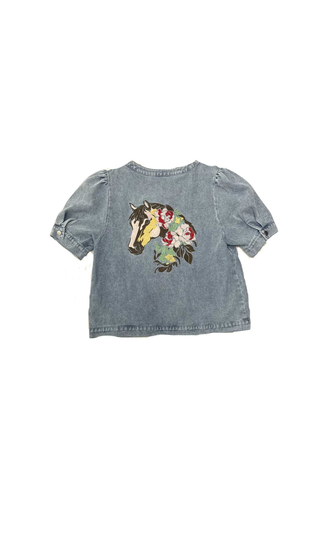 The Light Denim Horse